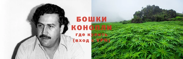 соль ск Гусев
