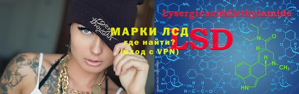 соль ск Гусев