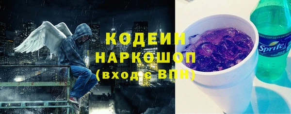соль ск Гусев