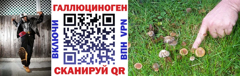 Купить закладки  Кировск  Псилоцибиновые грибы Psilocybine cubensis 