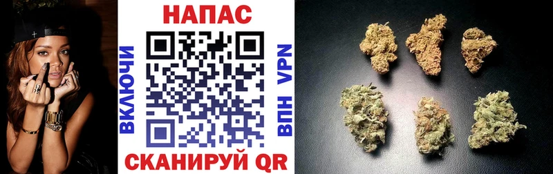 Купить где  Кировск  Канабис гибрид 